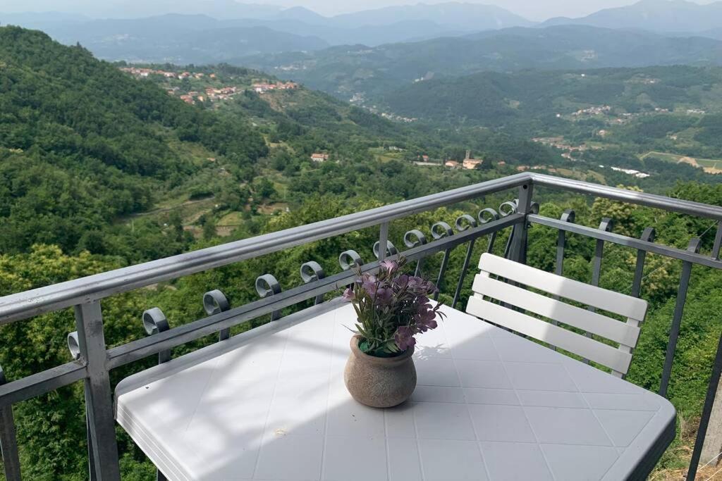 La Terrazza Sulle Apuane *