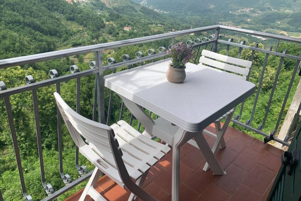 La Terrazza Sulle Apuane Apartment Fivizzano